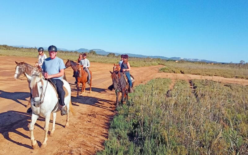 Reiten auf Mallorca - Reitgäste bei der Flamingotour