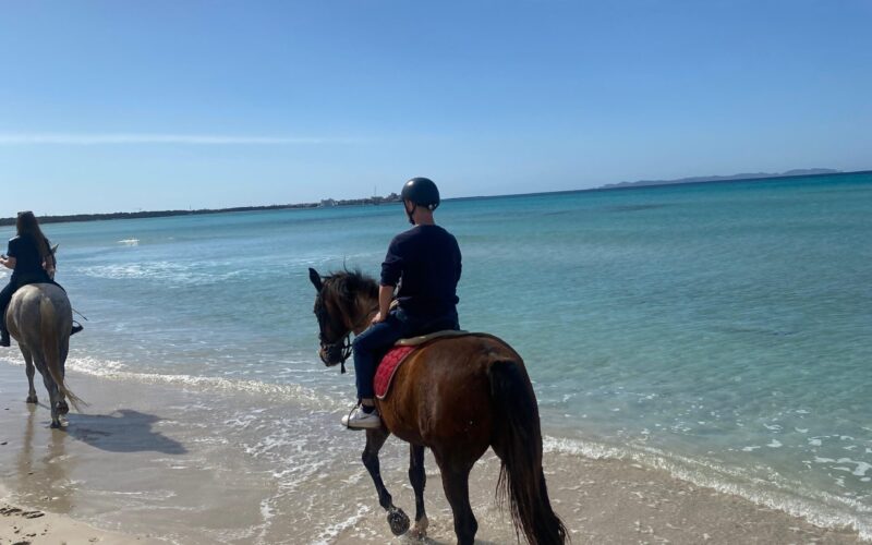 Reiten auf Mallorca - Strandritt EsTrenc Strand